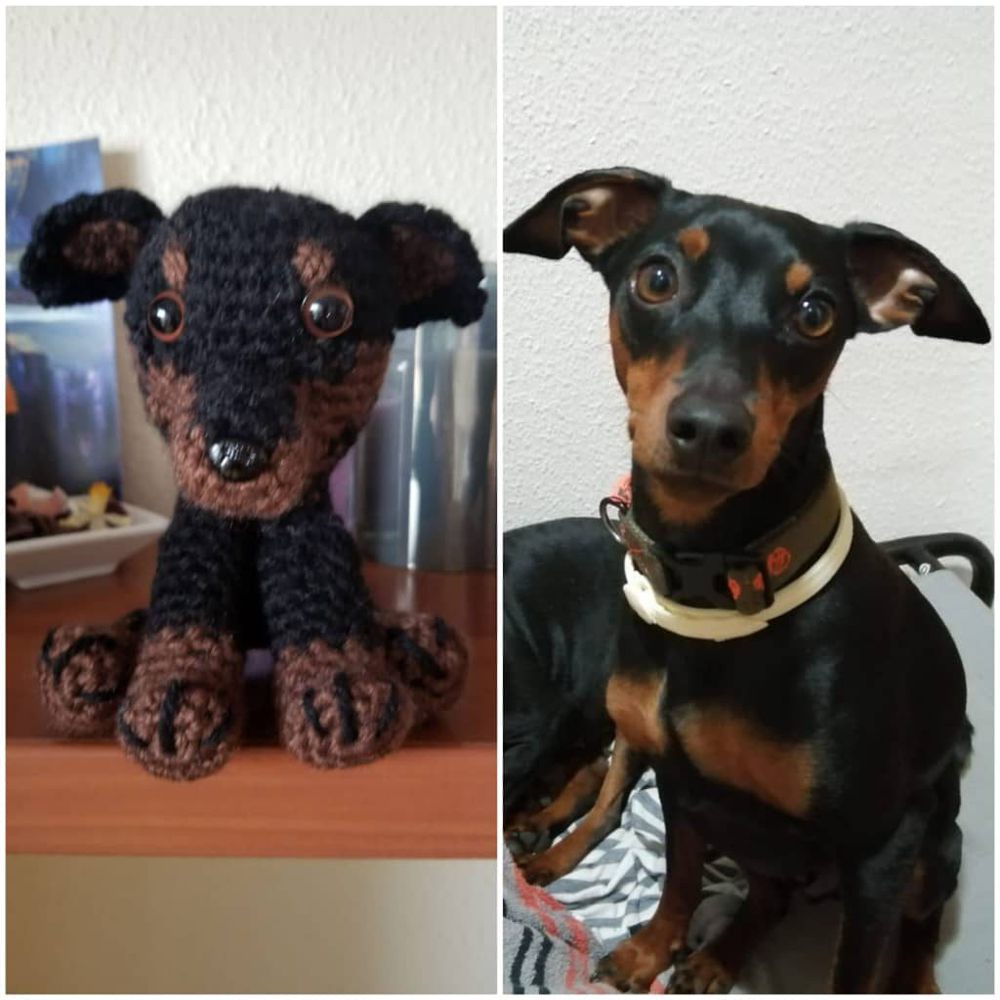 Pinscher real junto a su réplica en amigurumi